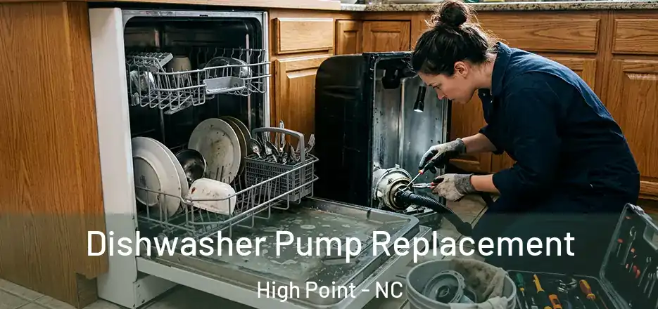 Dishwasher Pump Replacement High Point - NC