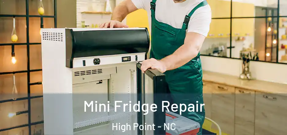  Mini Fridge Repair High Point - NC